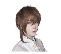Peruque Wig Perruques Ondulées Naturelles Courtes En Couches Cheveux Synthétiques Partie De Cosplay Moelleux Naturel Pour Hommes Perruque Deguisement