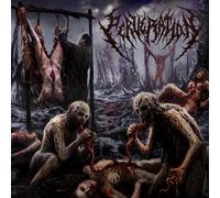 Perveration - Putrefaction of Infinite Apogee [Import]
