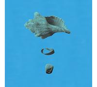 Pesacov, Lewis - Edge of Forever