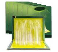 Pesdispear Piege a Souris,Plaque Collante Souris, Plus Pratique Que la Tapetteà Souris Colle Souris Sticky Trap 6 Paquets