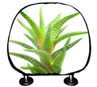 Pesfehhy Caméra de Vlogging 4K Ultra HD 56MP 30FPS, Caméscope Vidéo en Plastique Noir, Caméra Vidéo Étanche pour