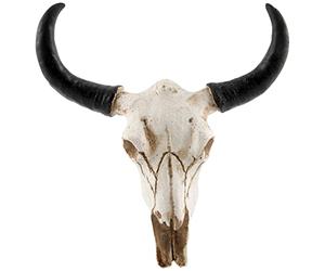 Pesfehhy RéSine Longhorn Vache TêTe de Crâne Tenture Murale DéCor 3D Animal Faune Sculpture Figurines Artisanat Cornes pour Halloween DéCor