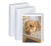 PESLNG 300 Pcs Pochette carte, protège cartes de Protection Transparentes, Trading Card Sleeves Protege Carte Vierges pour Jeux Pochette