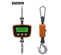 Peson Electronique, Balance de grue numérique 300 kg/500 kg, outil de pesage robuste, balance électronique(300kg 50g)