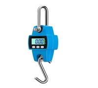 Peson Electronique, Balance numérique suspendue 300 kg, mini balance suspendue portable multifonctionnelle et précise(300kg Blue)