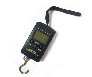 Peson electronique pêche balance 10g/40kg