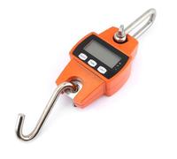 Peson Pèse Electronique Max 300KG - TMISHION - Mini Balance Accrochante Portative de Digital LCD d'Affichage