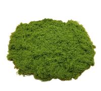 Pesoncarl Fake Moss 50g Plastique Moss Artificiel Moss réaliste Faux Moss Nutural Faux Green Lichen Plantes pour Plante Pot Crafting Garden Patio Decoration Green Clair, Miniature Stuff