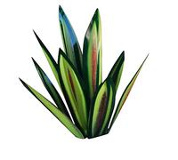 Plantes d'agave en métal 13,78 Pouces décor extérieur Tequila Sculpture Rustique Metal Agave Yard Art Agave Sculpture Statue Jardin y Jardin décor Ornement Vert, Jardin Statues extérieur