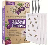 Pestmatic® Piège Smart pour Carpocapse des Prunes, Lot de 3