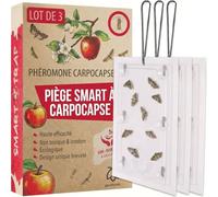 Pestmatic® Pièges à Carpocapse | Lot de 3 | Moniteur pour Pommiers | Attractif Naturel Sûr pour Abeilles et Oiseaux
