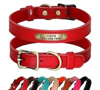 PET ARTIST Collier de Chien personnalisé en Cuir véritable, Collier léger et Doux, 7 Belles Couleurs, Collier Durable pour Chiot et Petits Chiens, Rouge M