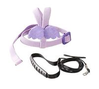 Pet Bird Outdoor Training Toy Perroquets Harnais élastique Laisse réglable Corde volante avec aile