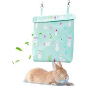 Pet Cage Cooling Ice Pack Hangable Cooling Plate, Insulated Reusable Ice Packs for Bunnies Guinea Pigs Rodents Small Animals, Indoor Habitat Or Travel Crate Summer Heat Accessory