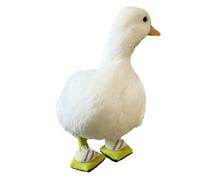 Pet Call Chaussures en forme de canard - Protection antidérapante pour prévenir les infections Tissu doux Design mignon (abeille, S)