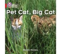 Pet Cat Big Cat by Alison Hawes Collins Big Cat (Auteur)
