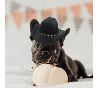 Pet Cowboy Hat Dog - Mini Cowboy Hats For Cats And Dogs | Accessories Headwear Adjustable Cap For Cosplay Cowbôy Caps And Triangle Scarves | Western Pet Costumes