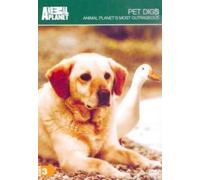 Pet Digs-Animal Planet's Most Outrageous