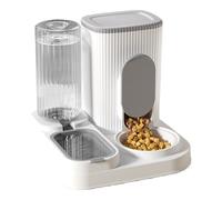 Pet Feeder Station, Cat Food and Water Dispenser, Double Bowl 2-in-1 Design, Large Capacity Feed System for Indoor Cats and Small Pets, 10.83x10.71x10.24 inches