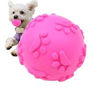 Pet Fetch Ball, Bite Resistant Squeaker, Puppy Exercise Play Accessory Toy
