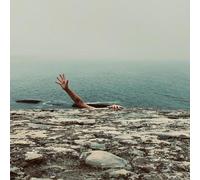 Pet Fox - A Face In Your Life [Vinyl Lp]