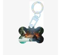 Pet Go - Heaven's Gate - Médaille d'identification personnalisée pour chien et chat - Acrylique en forme d'os - Bleu ciel - Taille M