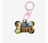 Pet Go Médaille d'identification personnalisée en acrylique en forme d'os pour chien et chat Motif La Terre dans l'église mystérieuse Rose clair Taille S
