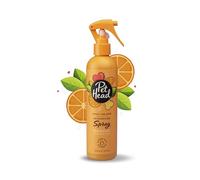 Pet Head Ditch the Dirt Spray Désodorisant pour Chien | Parfum d’Orange | Désodorise et Élimine les odeurs | Toilettage Professionnel | Formule Douce pour Chiots | 300ml