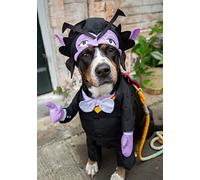 Pet Krewe Costume de vampire pour chien | Sesame Street Dracula Monster pour chiens et chats | Tailles S, M, L et XL