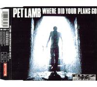 Pet Lamb - Where Did Your Plans Go