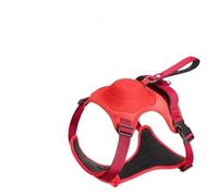 Pet Leash， Laisse Molle réglable de Harnais de Chien escamotable avec la poignée for de Grands Chiens,for Pets(RDT300 with clamp,M)