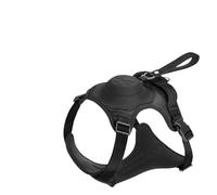 Pet Leash， Laisse Molle réglable de Harnais de Chien escamotable avec la poignée for de Grands Chiens,for Pets(4,M)