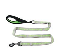 Pet Leash， Laisse réfléchissante Anti-éclatement en Nylon for Chiens et Chats de Petite/Moyenne/Grande Taille,for Pets(Gray-Grass Green,L)