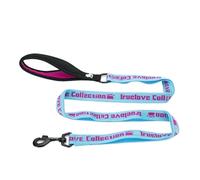 Pet Leash， Laisse réfléchissante Anti-éclatement en Nylon for Chiens et Chats de Petite/Moyenne/Grande Taille,for Pets(Sky Blue-Fuchsia,L)