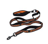Pet Leash， Laisse réfléchissante Anti-éclatement en Nylon for Chiens et Chats de Petite/Moyenne/Grande Taille,for Pets(Black-Orange,L)