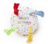 Pet London Jouet couineur en Forme de gâteau d'anniversaire pour Chien avec Bougies en Corde dans des Couleurs Vives Amusantes - Célébrez Le Joyeux Anniversaire de Votre Chien - Peluche Arc-en-Ciel