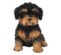 Pet Pals PP-CAV1-F Cavapoo en résine pour décoration de maison ou de jardin Noir et marron clair