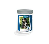 Pet-phos croissance grand chien cap2 100cps