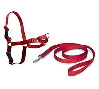 Pet Safe Easy Walk Harness Medium Red