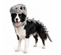 Pet Skeleton Costume - Funny Dinosaur Skeleton Cosplay Clothes