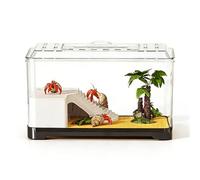 Pet Supplies Aquarium de bureau transparent pour alimentation et observation des tortues Taille L