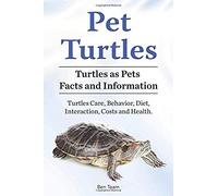Pet Turtles. Turtles As Pets Facts And Information. Turtles Care, Behavior, Diet, Interaction, Costs And Health.
