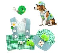 Pet Walking Vest, Puppy Control Harness, Breathable Dog Gear Set, No Pull Training System, Outdoor Walking Rope Kit, Daily Shopping Running Use Support for Small Medium Dogs Outdoor Activity Control