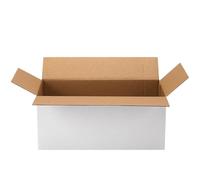 PETAFLOP Lot de 1 boîte d'expédition blanche en carton ondulé pour petites entreprises, envoi à faire soi-même 25,4 x 15,2 x 10,2 cm