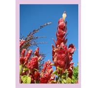 Petal Notes: A Floral Aesthetic Notebook for Creative Writing, Daily Journaling, Mindfulness, Positive Thoughts, Productivity and Personal Growth