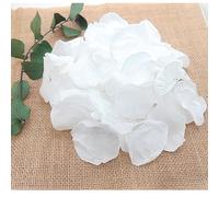 Petales Boheme - Pétales de Rose blanche stabilisée - Vrai Pétale de Roses blanche éternelle Mariage - Confettis de Mariage Biodégradable Décoration centre de table Bohème | Artisanat France (Blanc)