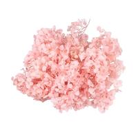 Pétales D’Hortensia Séchés Roses pour Ongles, Bouquets et Projets DIY | Matière Synthétique, Embellissement Facile, Décoration de Centres de Table, Activités Manuelles pour Artistes Ongulaires