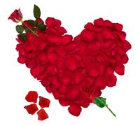 Pétales de Rose Artificielle Rouges en Soie Décoration Romantique pour La Saint Valentin, Déco Fiançailles et Mariage -1200 pcs
