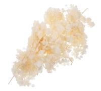 Pétales D'hortensia Conservés Beige 30g Fleurs Séchées