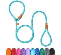 Petarea Laisse antidérapante de 1,5 m pour chien de petite, moyenne et grande taille, laisse de dressage anti-traction avec fil réfléchissant, laisse solide et confortable à boucle (rayures bleu sarcelle, taille L 1,27 cm)